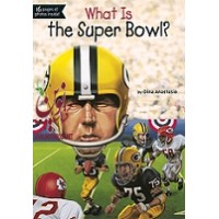 ?What Is The Super Bowl
