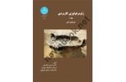 ژئومرفولوژی کاربردی فرسایش آبی  جلداول  1954 حسن احمدی انتشارات دانشگاه تهران