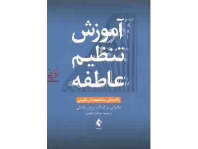 آموزش تنظیم عاطفه راهنمای متخصصان بالینی  ماتیاس برکینگ انتشارات  ارجمند
