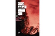 بیست زخم کاری محمود حسینی‌زاد انتشارات چشمه