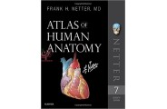 Atlas of Human Anatomy,(Netter Basic Science) 7th Edition 2019 انتشارات اطمینان