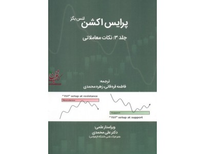 پرایس اکشن (جلد سوم:نکات معاملاتی) لنس بگز ترجمه اعظم امراه نژاد انتشارات مهربان