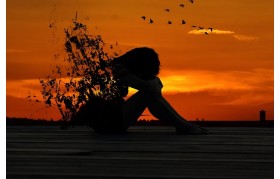 احساسات چگونه عمل می کنند؟