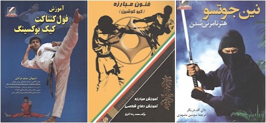 کیوکوشین، نینجوستو و فولکونتاک
