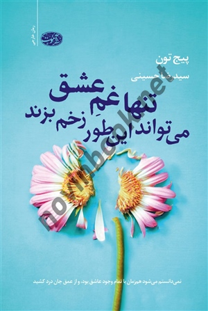 تنها غم عشق می تواند اینطور زخم بزند پیج تون ترجمه رضا حسینی انتشارات آموت