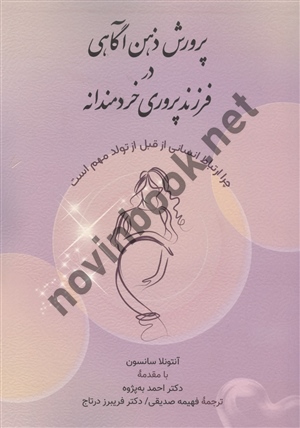 پرورش ذهن آگاهی در فرزند پروری خردمندانه آنتونلا سانسون ترجمه فهیمه صدیقی انتشارات ارسباران