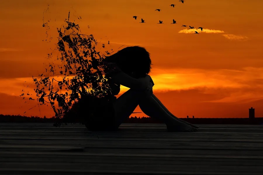احساسات چگونه عمل می کنند؟